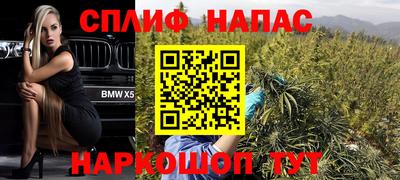 СК Шелехов