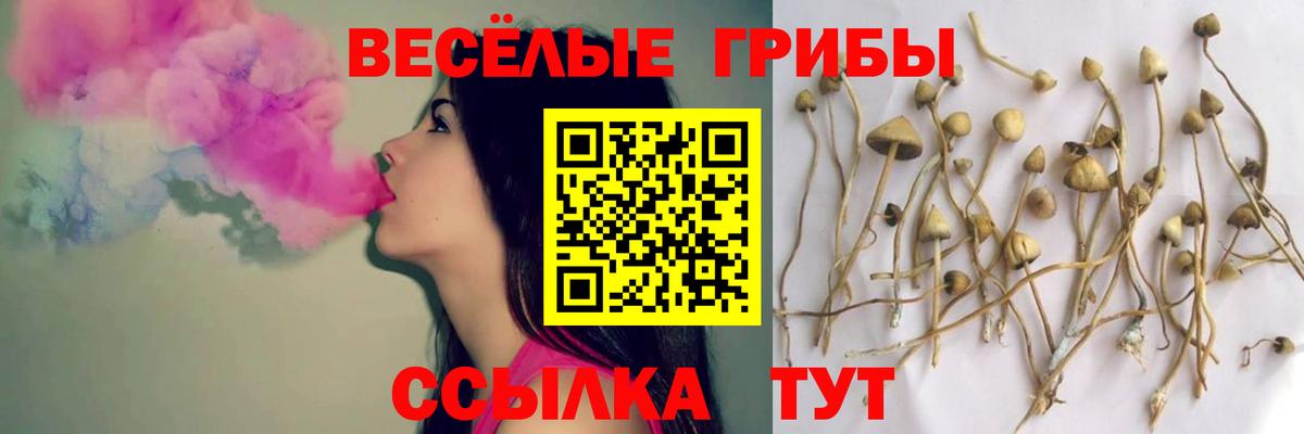 Галлюциногенные грибы MAGIC MUSHROOMS Мелеуз